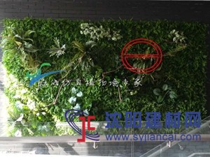 仿真植物墻綠化墻體會(huì)所草坪地毯沈陽森海綠植墻案例